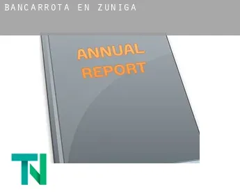 Bancarrota en  Zúñiga