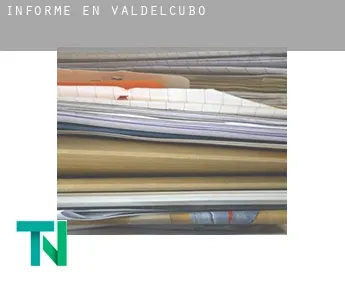 Informe en  Valdelcubo