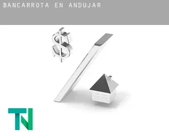 Bancarrota en  Andújar