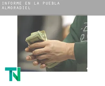 Informe en  La Puebla de Almoradiel