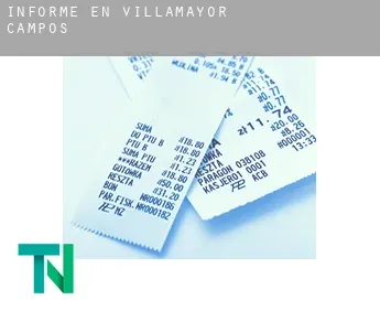 Informe en  Villamayor de Campos