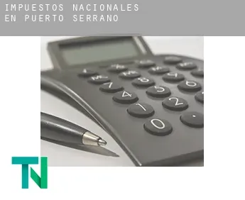 Impuestos nacionales en  Puerto Serrano