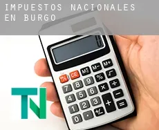 Impuestos nacionales en  Burgos