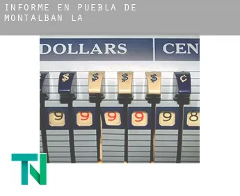 Informe en  Puebla de Montalbán (La)