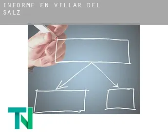 Informe en  Villar del Salz