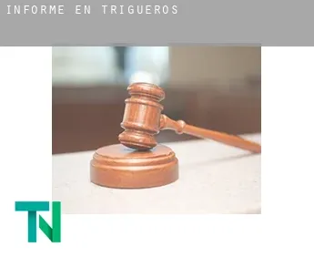 Informe en  Trigueros