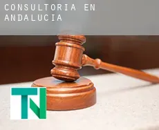 Consultoría en  Andalucía