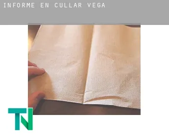 Informe en  Cúllar-Vega