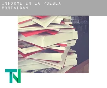 Informe en  La Puebla de Montalbán