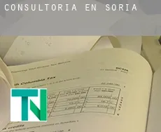 Consultoría en  Soria