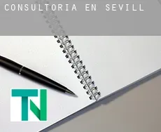 Consultoría en  Sevilla