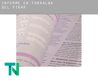 Informe en  Torralba del Pinar