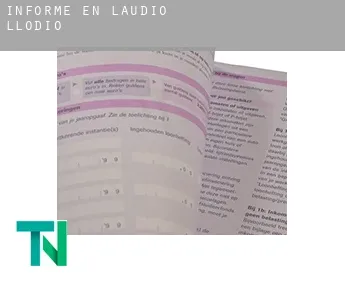 Informe en  Laudio / Llodio