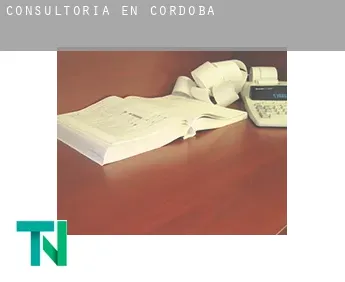 Consultoría en  Córdoba